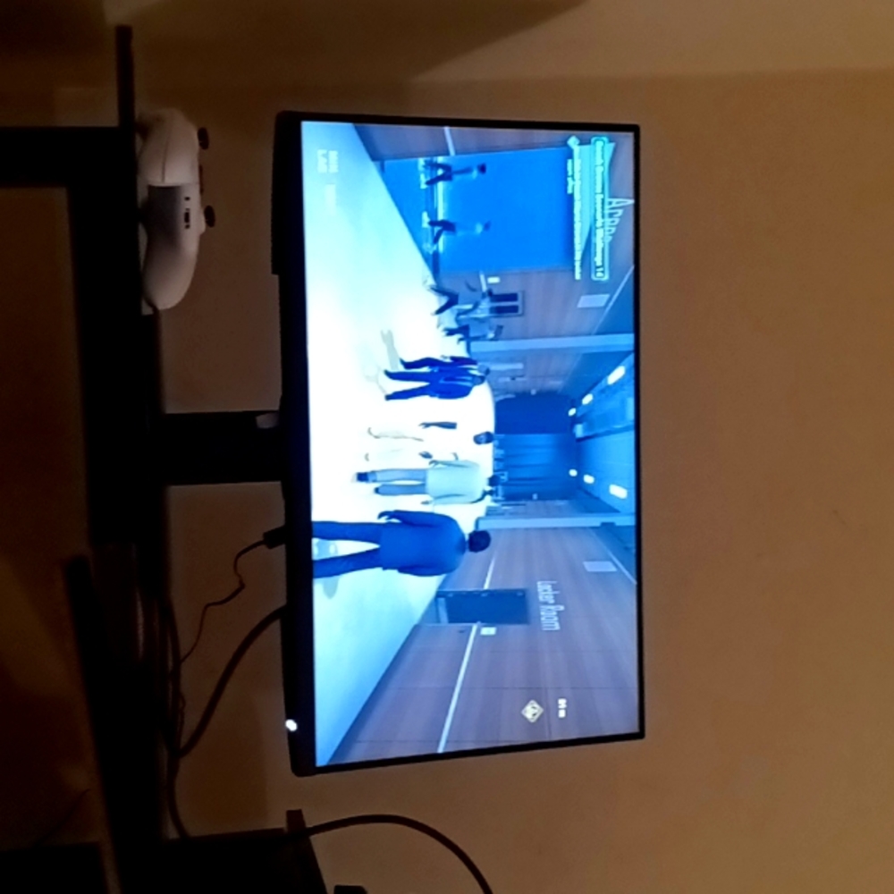 Computer Monitor